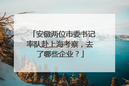 安徽两位市委书记率队赴上海考察，去了哪些企业？