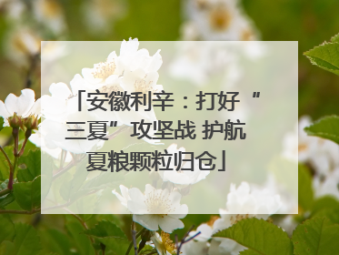 安徽利辛：打好“三夏”攻坚战 护航夏粮颗粒归仓