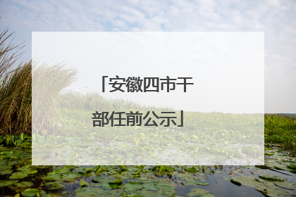 安徽四市干部任前公示