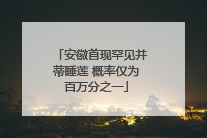 安徽首现罕见并蒂睡莲 概率仅为百万分之一
