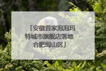 安徽首家泡泡玛特城市旗舰店落地合肥蜀山区