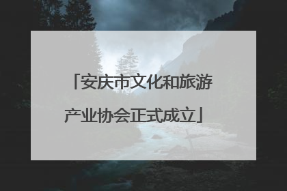 安庆市文化和旅游产业协会正式成立