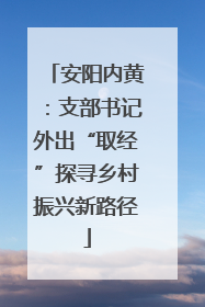 安阳内黄：支部书记外出“取经”探寻乡村振兴新路径