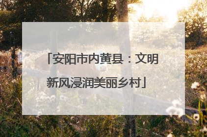 安阳市内黄县：文明新风浸润美丽乡村