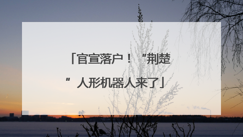 官宣落户！“荆楚”人形机器人来了