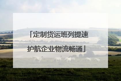 定制货运班列提速 护航企业物流畅通