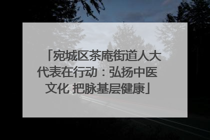 宛城区茶庵街道人大代表在行动：弘扬中医文化 把脉基层健康