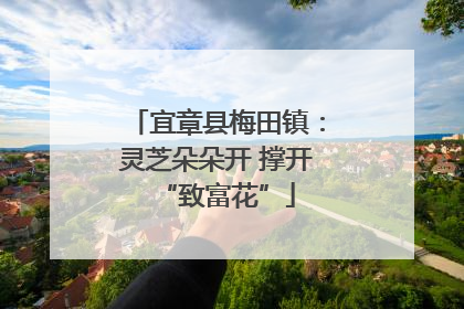 宜章县梅田镇：灵芝朵朵开 撑开“致富花”