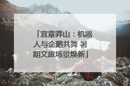 宜章莽山：机器人与企鹅共舞 暑期文旅场景焕新