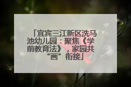 宜宾三江新区洗马池幼儿园：聚焦《学前教育法》，家园共“画”衔接