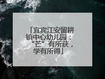 宜宾江安留耕镇中心幼儿园：“芒”有所获，学有所得