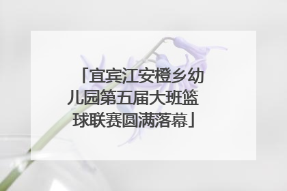宜宾江安橙乡幼儿园第五届大班篮球联赛圆满落幕