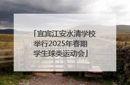 宜宾江安水清学校举行2025年春期学生球类运动会