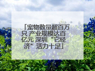 宠物数量超百万只 产业规模达百亿元 深圳“它经济”活力十足
