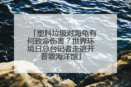 塑料垃圾对海龟有何致命伤害？世界环境日总台记者走进开普敦海洋馆