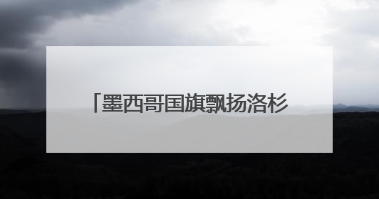 墨西哥国旗飘扬洛杉矶 白宫：看，罪证