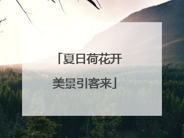 夏日荷花开 美景引客来