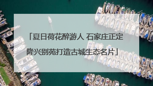 夏日荷花醉游人 石家庄正定隆兴别苑打造古城生态名片