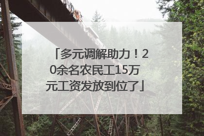 多元调解助力！20余名农民工15万元工资发放到位了