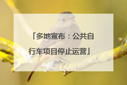 多地宣布：公共自行车项目停止运营