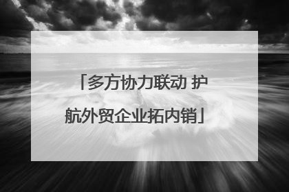 多方协力联动 护航外贸企业拓内销