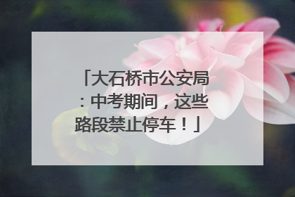 大石桥市公安局：中考期间，这些路段禁止停车！