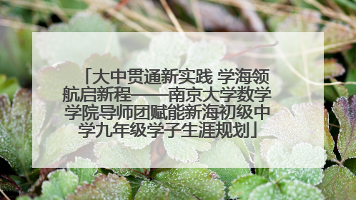 大中贯通新实践 学海领航启新程——南京大学数学学院导师团赋能新海初级中学九年级学子生涯规划