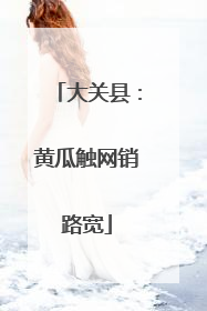 大关县：黄瓜触网销路宽