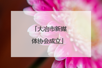 大冶市新媒体协会成立