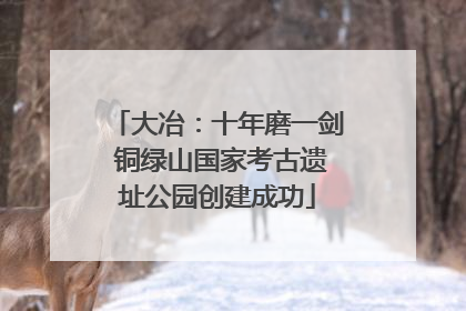 大冶：十年磨一剑 铜绿山国家考古遗址公园创建成功