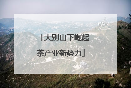 大别山下崛起茶产业新势力
