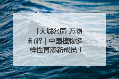 大城名园 万物和谐｜中国植物多样性再添新成员！它只在西藏墨脱