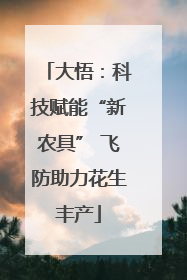 大悟：科技赋能“新农具” 飞防助力花生丰产