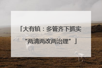 大有镇：多管齐下抓实“两清两改两治理”