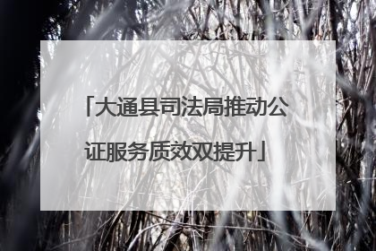 大通县司法局推动公证服务质效双提升
