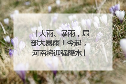 大雨、暴雨，局部大暴雨！今起，河南将迎强降水