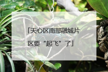 天心区南部融城片区要“起飞”了