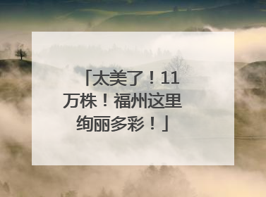 太美了！11万株！福州这里绚丽多彩！