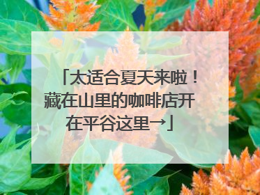 太适合夏天来啦！藏在山里的咖啡店开在平谷这里→