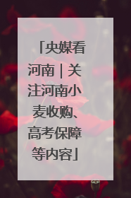 央媒看河南｜关注河南小麦收购、高考保障等内容