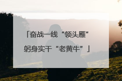 奋战一线“领头雁” 躬身实干“老黄牛”