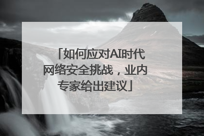如何应对AI时代网络安全挑战，业内专家给出建议