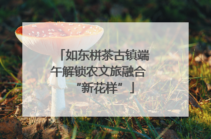 如东栟茶古镇端午解锁农文旅融合“新花样”