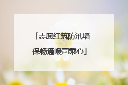 志愿红筑防汛墙 保畅通暖司乘心