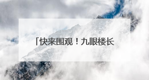 快来围观！九眼楼长城，傻狍子出没~