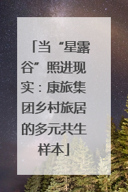 当“星露谷”照进现实：康旅集团乡村旅居的多元共生样本