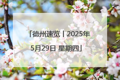 德州速览丨2025年5月29日 星期四