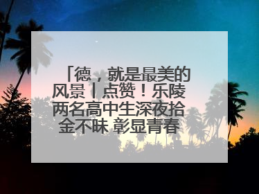 德，就是最美的风景丨点赞！乐陵两名高中生深夜拾金不昧 彰显青春正能量
