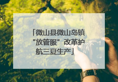 微山县微山岛镇“放管服”改革护航三夏生产