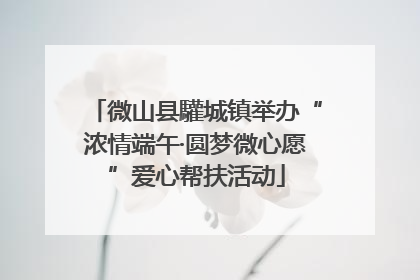 微山县驩城镇举办“浓情端午·圆梦微心愿”爱心帮扶活动